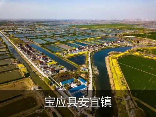 宝应县安宜镇