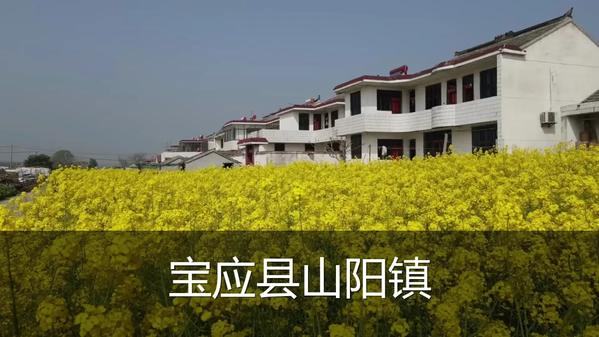 宝应县山阳镇